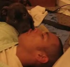Puppy Love